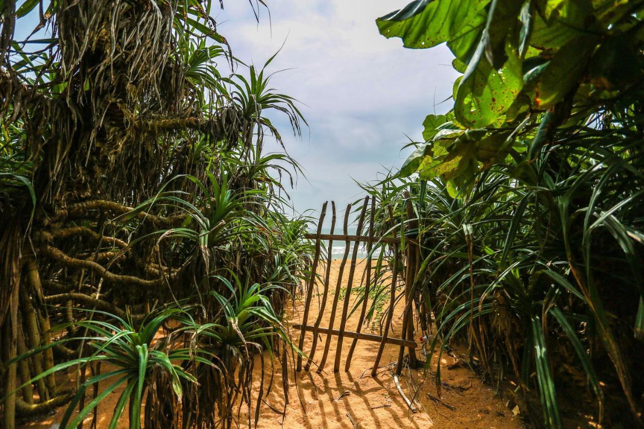 Rathgama Beach House Экстерьер фото